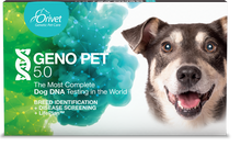 Load image into Gallery viewer, GENO PET 5.0  DNA Test (Breed + Health Kit)