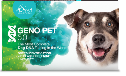 GENO PET 5.0  DNA Test (Breed + Health Kit)
