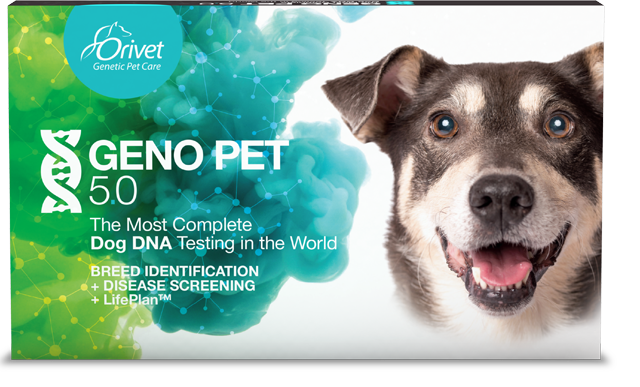 GENO PET 5.0  DNA Test (Breed + Health Kit)